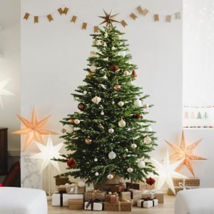 6 Ft. Fraser Fir Tree (Live Cut)