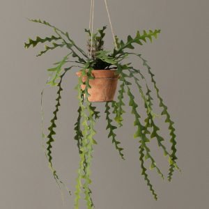 Favter|Faux Hanging Ric Rac Cactus