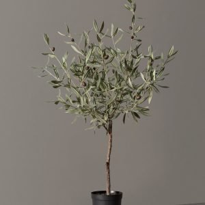 Favter|Faux Olive Tree