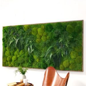 Favter|Large Preserved Living Wall 68″ x 33″