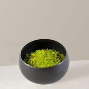 Favter|Preserved Moss in Ceramic Bowl