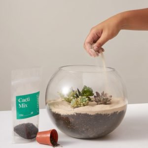 DIY Terrarium Kit